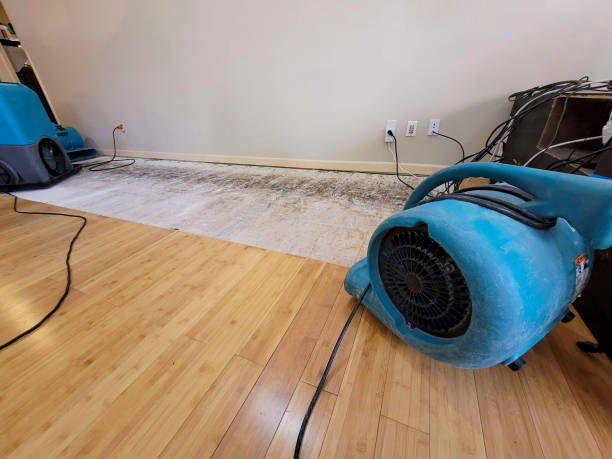 Professional Water Damage Repair technician working in Gouldsboro, ME